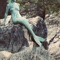 Buy canvas prints of Mermaids Imagination  by David Bennett