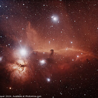Buy canvas prints of The Horsehead Nebula by Peter Louer