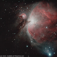 Buy canvas prints of The Orion Nebula by Peter Louer
