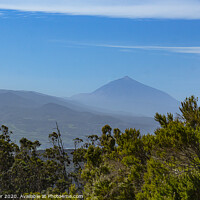 Buy canvas prints of Mount Teide by Peter Louer