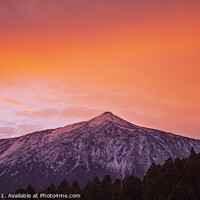 Buy canvas prints of Sunrise over Mount Teide by Peter Louer