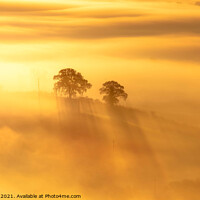 Buy canvas prints of Wye Valley cloud inversion by Edy Rice