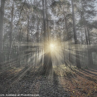 Buy canvas prints of Where there's light...there's hope.  by Malc Lawes