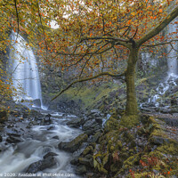 Buy canvas prints of Melincourt Falls  by Malc Lawes