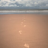 Buy canvas prints of Footprints in the Sand by Malc Lawes