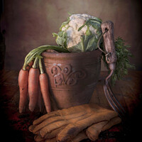 Buy canvas prints of Vegetables and Plant pot  by Helen Jones