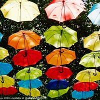 Buy canvas prints of Umbrellas in the Sunshine  by Helen Jones