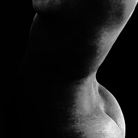 Buy canvas prints of Abstract female nude torso in monochrome by Robert MacDowall