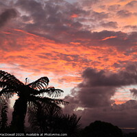 Buy canvas prints of Evening sky over Otumoetai, Bay of Plenty, New Zealand by Robert MacDowall