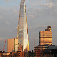 Buy canvas prints of Evening view of The Shard, London by Robert MacDowall