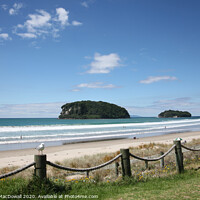 Buy canvas prints of Beach at Whangamata, New Zealand by Robert MacDowall