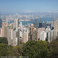 Buy canvas prints of Hong Kong Island skyscrapers from Victoria Peak by Robert MacDowall