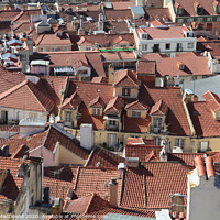 Buy canvas prints of Roofs from Lisbon Castle by Robert MacDowall