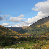 Buy canvas prints of Railway viaduct at Glenfinnan, Scotland by Robert MacDowall