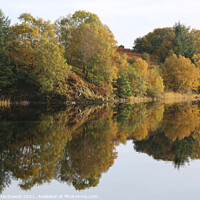 Buy canvas prints of Autumn reflections in the Water of Deugh, Scotland by Robert MacDowall