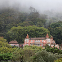 Buy canvas prints of Sintra in the mist by Robert MacDowall