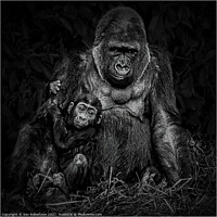 Buy canvas prints of Mother and son by Kev Robertson