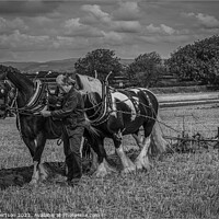 Buy canvas prints of Ploughing by horse by Kev Robertson