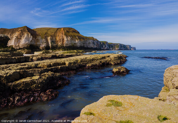 Flamborough Head from Thornwick Nab Picture Board by Janet Carmichael