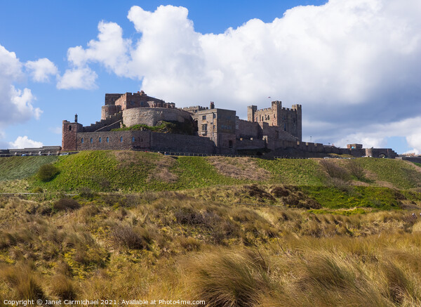 Bamburgh Castle and Dunes Picture Board by Janet Carmichael