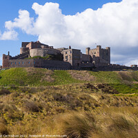 Buy canvas prints of Bamburgh Castle and Dunes by Janet Carmichael