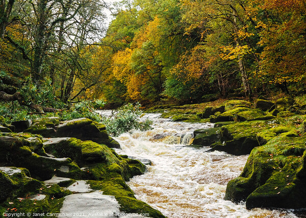 The Dramatic and Dangerous Strid Rapids Picture Board by Janet Carmichael