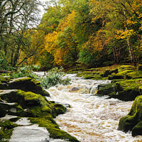 Buy canvas prints of The Dramatic and Dangerous Strid Rapids by Janet Carmichael