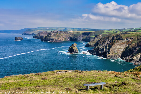 Rugged beauty of Cornwall Picture Board by Janet Carmichael