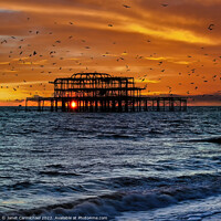 Buy canvas prints of Starlings Circling at the West Pier by Janet Carmichael
