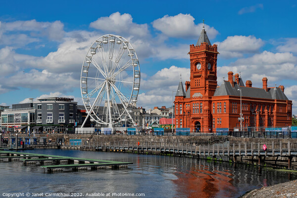 Discover the Beauty of Cardiff Bay Picture Board by Janet Carmichael