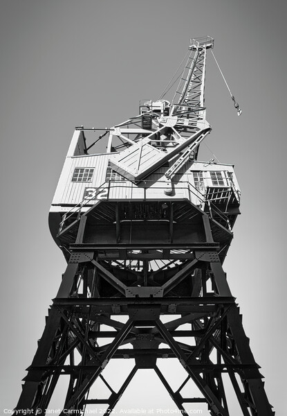 Iconic Cargo Cranes of Bristol Picture Board by Janet Carmichael