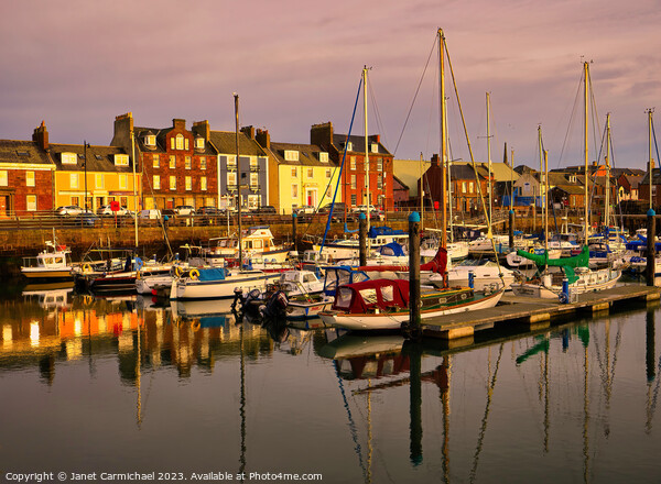 Serenity at Arbroath Harbour Picture Board by Janet Carmichael