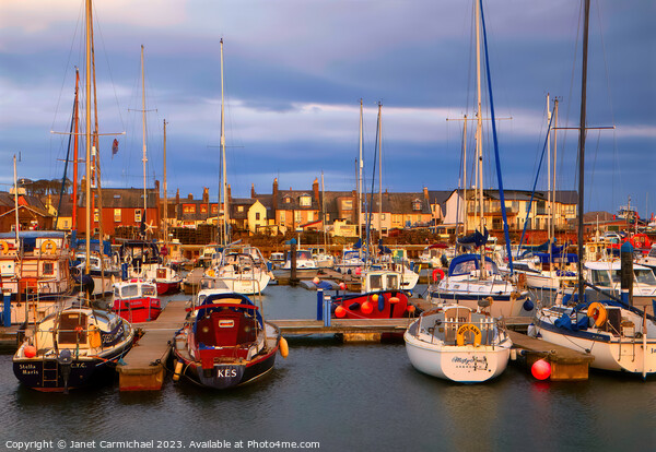 Bright and Bold Arbroath Harbour Picture Board by Janet Carmichael