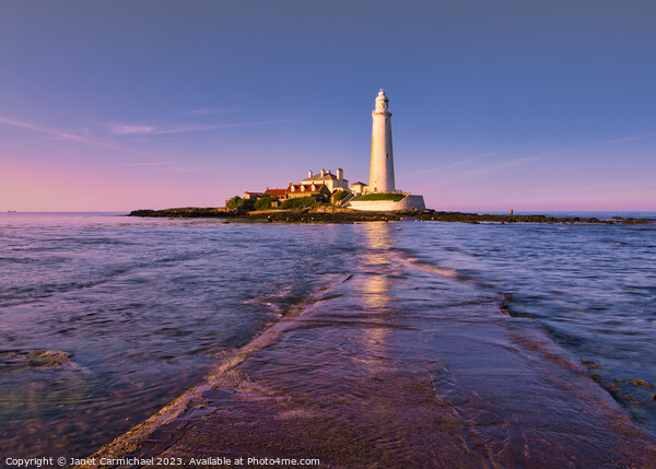 Sunset Glow at St Mary's Lighthouse Picture Board by Janet Carmichael