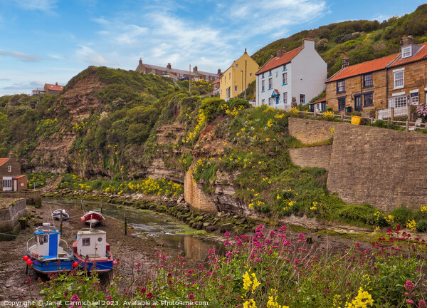 Spring Colour in Staithes Picture Board by Janet Carmichael