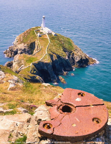 South Stack Lighthouse from the Gun Emplacement Picture Board by Janet Carmichael