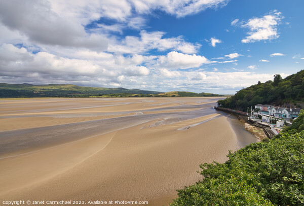 Portmeirion Beach and Hotel Picture Board by Janet Carmichael