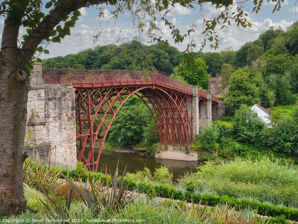 The Historic Iron Bridge Picture Board by Janet Carmichael