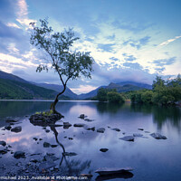 Buy canvas prints of Blue Hour at the Lone Tree of Llanberis by Janet Carmichael