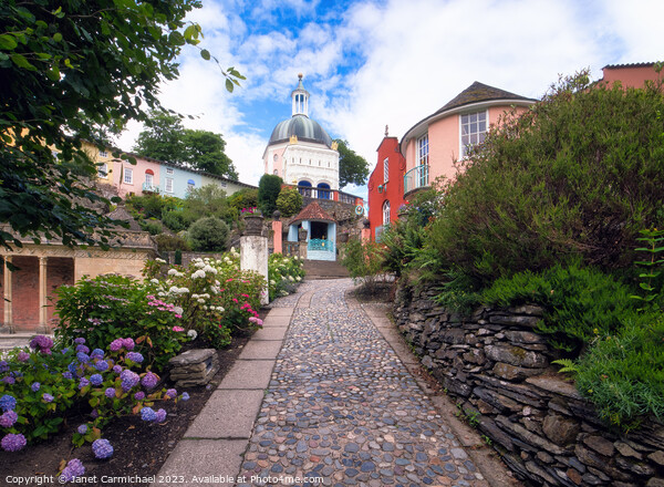 Portmeirion in Summer Picture Board by Janet Carmichael