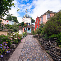 Buy canvas prints of Portmeirion in Summer by Janet Carmichael