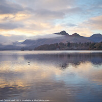 Buy canvas prints of A Lone Gull at Derwentwater by Janet Carmichael