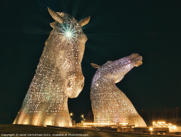 Glorious in Gold Kelpies Picture Board by Janet Carmichael