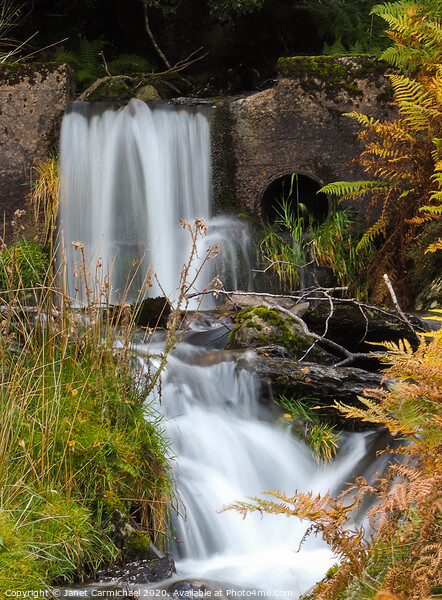 Serene Secret Waterfall Picture Board by Janet Carmichael