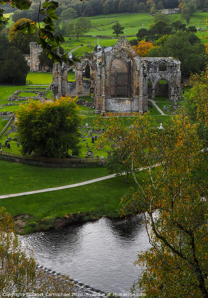 Bolton Priory ruins - Yorkshire Picture Board by Janet Carmichael