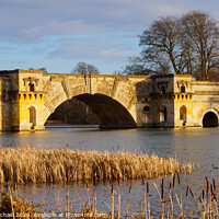 Buy canvas prints of The Grand Bridge at Blenheim Palace - Oxfordshire by Janet Carmichael