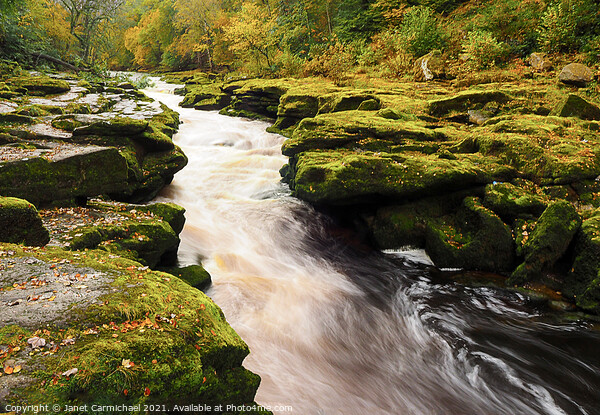 Thrilling Whitewater Rapids in Yorkshire Dales Picture Board by Janet Carmichael