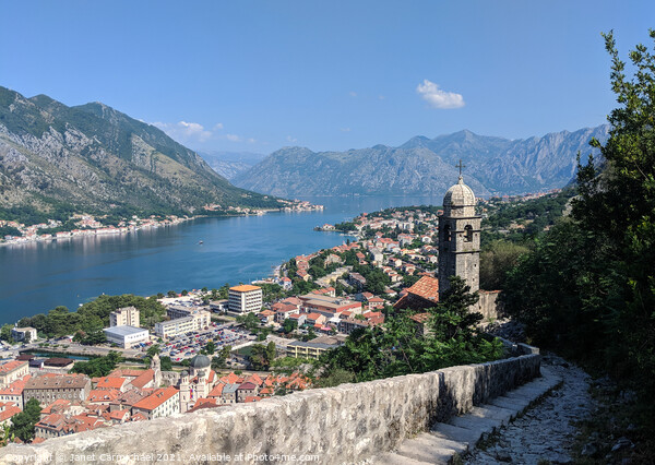 Majestic View of Kotor Riviera Picture Board by Janet Carmichael