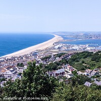 Buy canvas prints of Golden Arc of Chesil Beach by Janet Carmichael