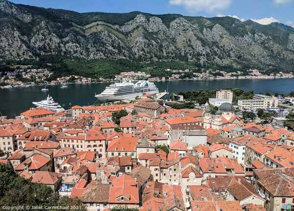 Enchanting Kotor Old Town Picture Board by Janet Carmichael